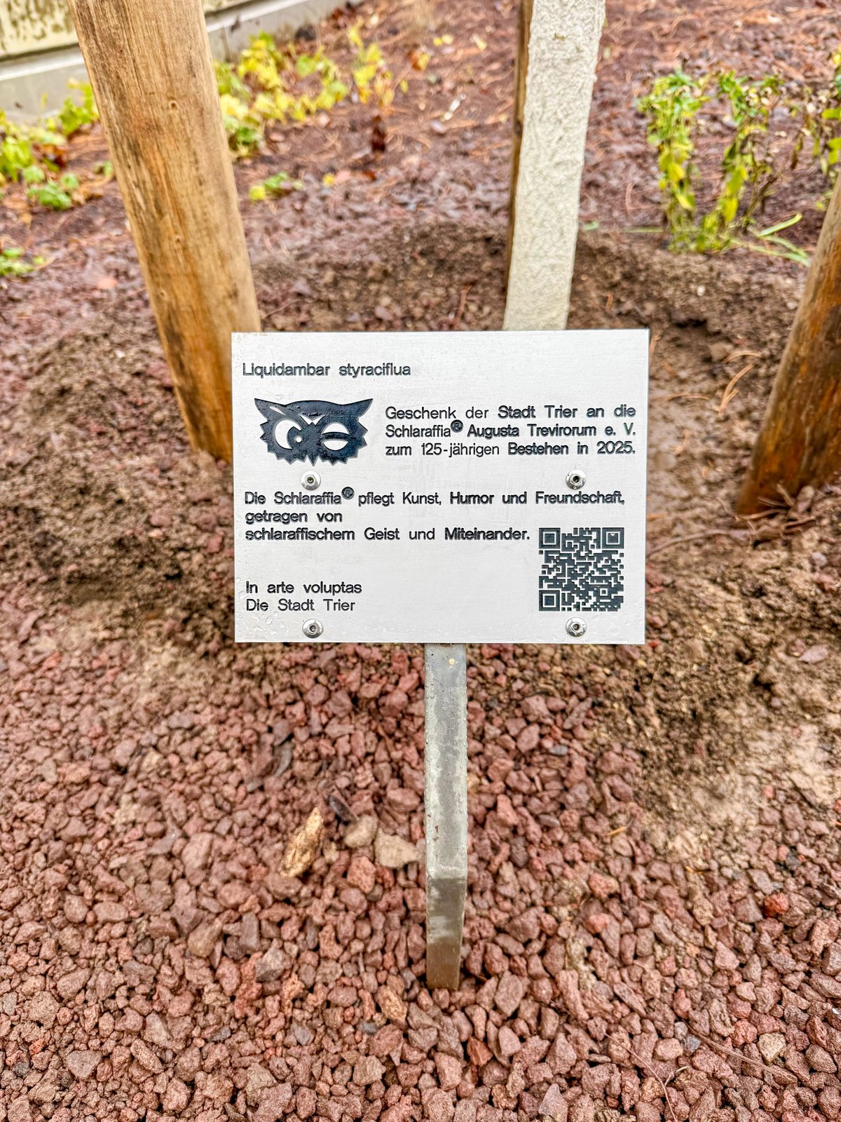 Hinweistafel der Stadt Trier am Amberbaum im Palastgarten